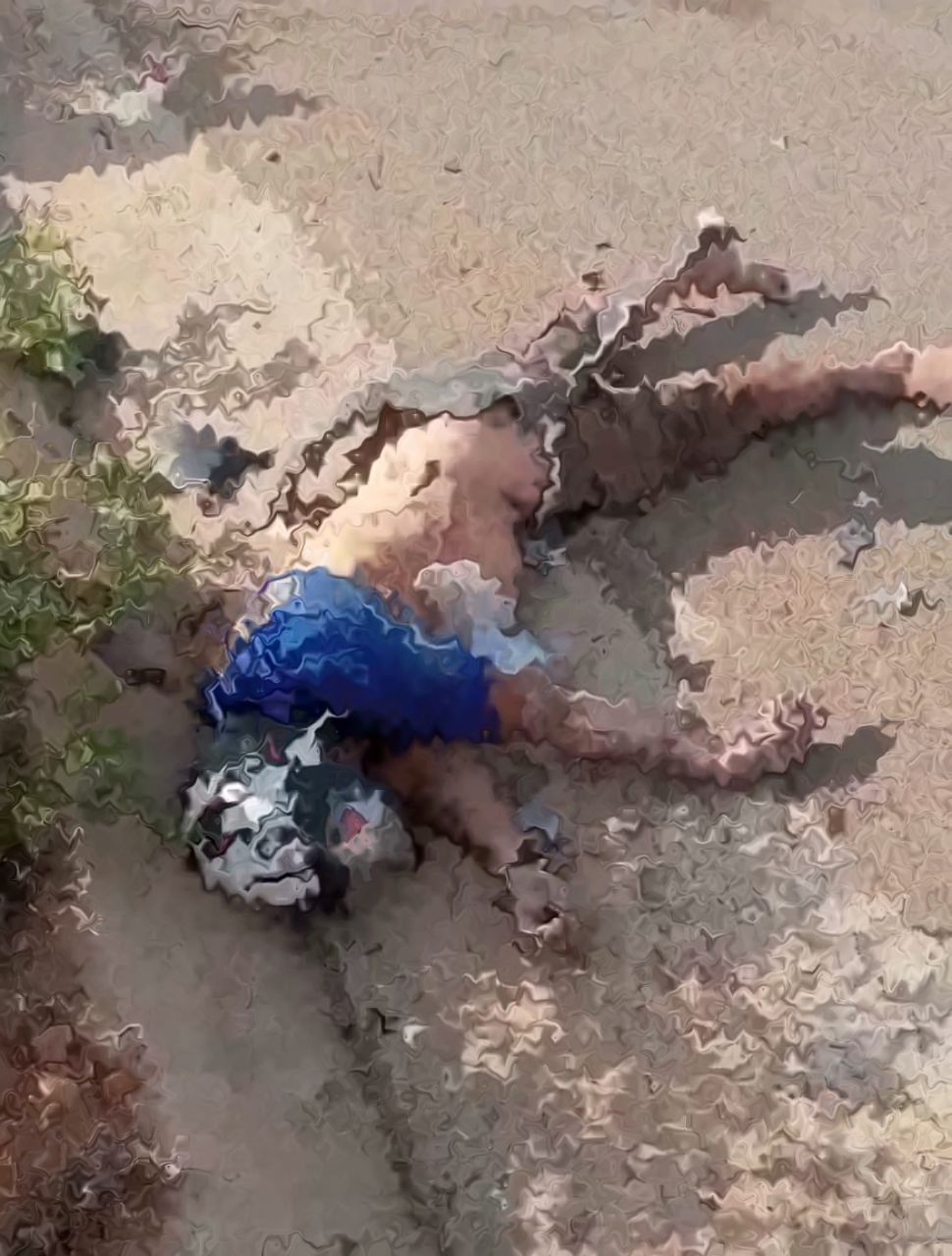 Motociclista sofre acidente na AL-220 é socorrido, não resiste e morre no HEA