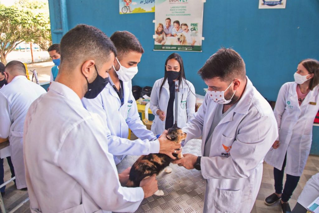 Cadastro para castração de cães e gatos segue acontecendo em Arapiraca