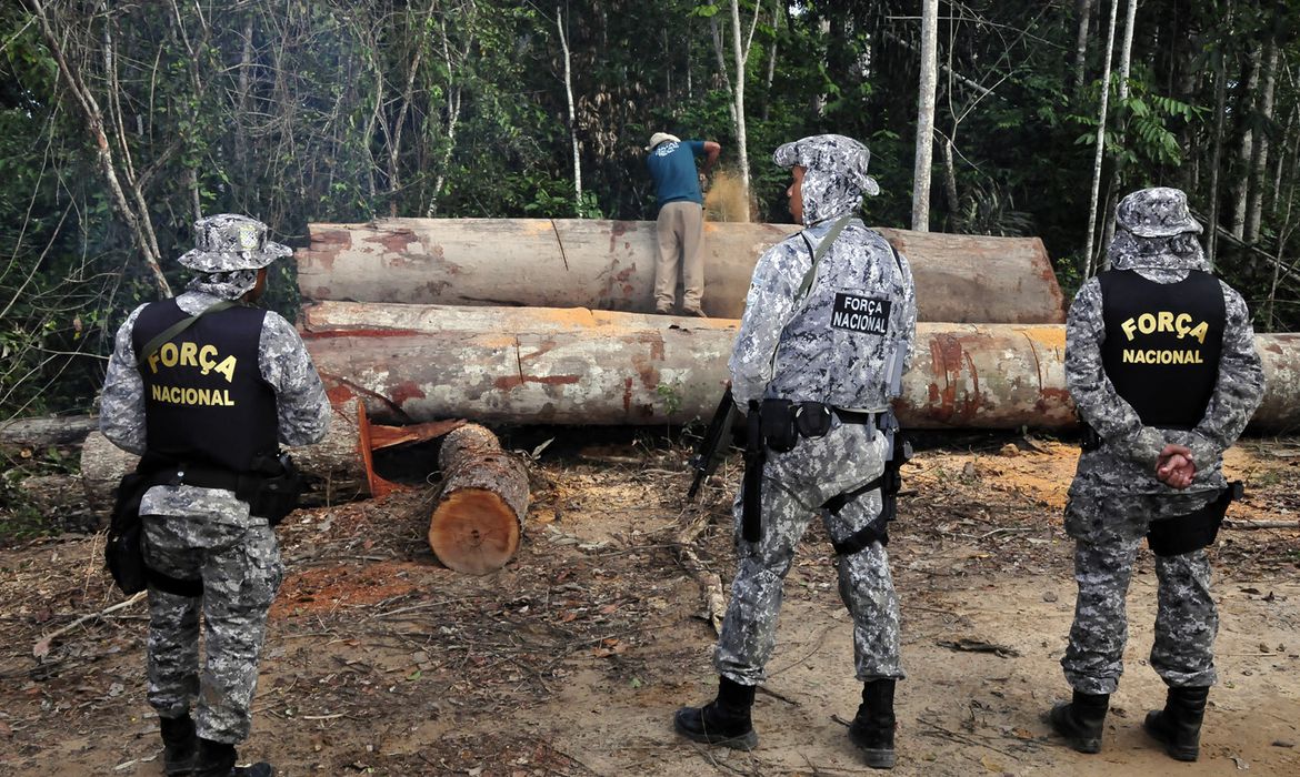 Governo autoriza Forças Armadas a combater desmatamento em Mato Grosso