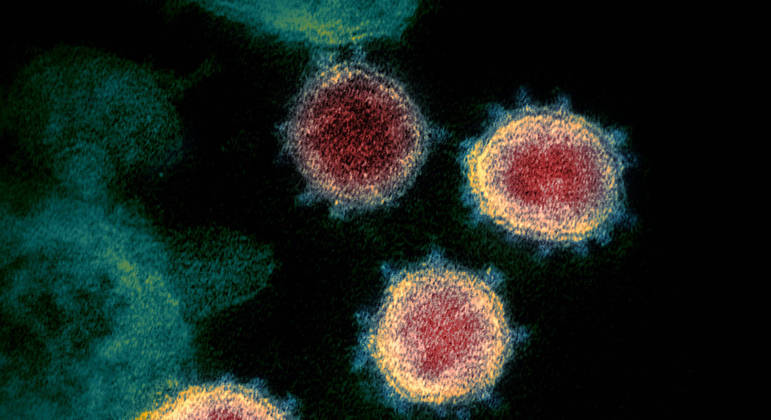 Cientistas descobrem mais uma variante do coronavírus no Brasil